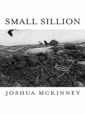 cover image of Small Sillion